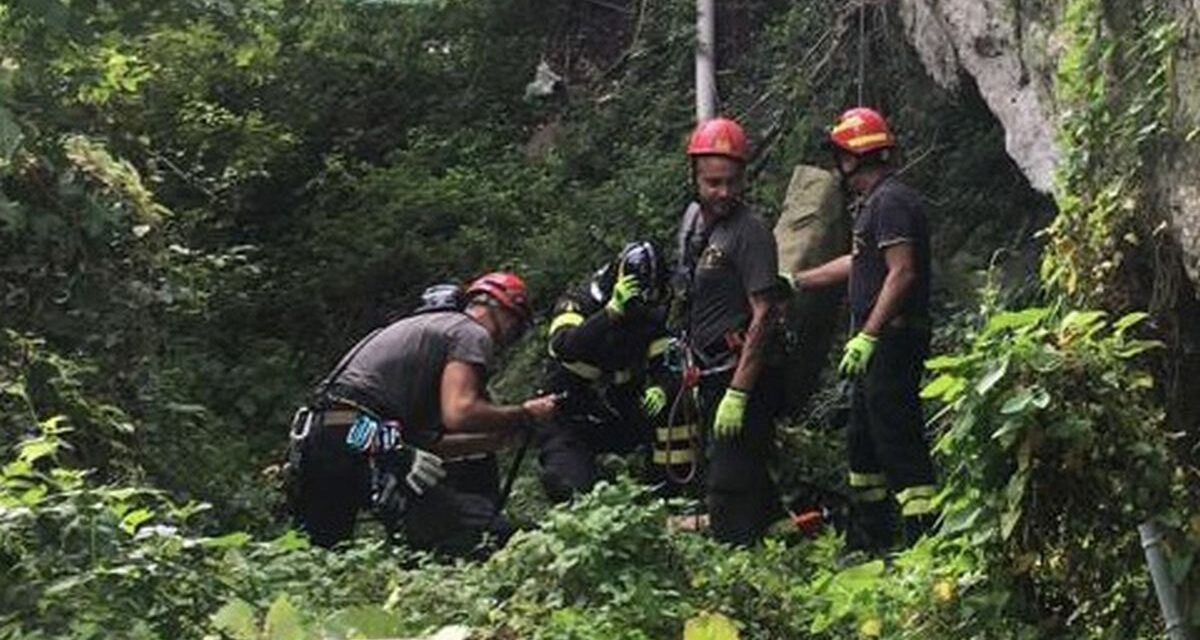 Brillante intervento dei pompieri di Tortona che salvano un cane da morte certa caduto in una gravina a Castellania